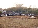 uthralikavu-pooram-2012 (6)